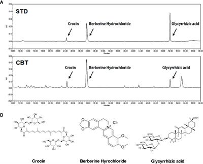 Chijabyukpi-Tang Inhibits Pro-Inflammatory Cytokines and Chemokines via the Nrf2/HO-1 Signaling Pathway in TNF-α/IFN-γ-Stimulated HaCaT Cells and Ameliorates 2,4-Dinitrochlorobenzene-Induced Atopic Dermatitis-Like Skin Lesions in Mice